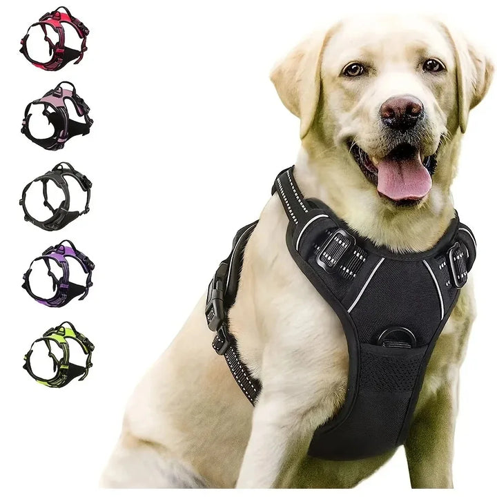 BarkBuddy™ Hunde-Ausrüstungsset