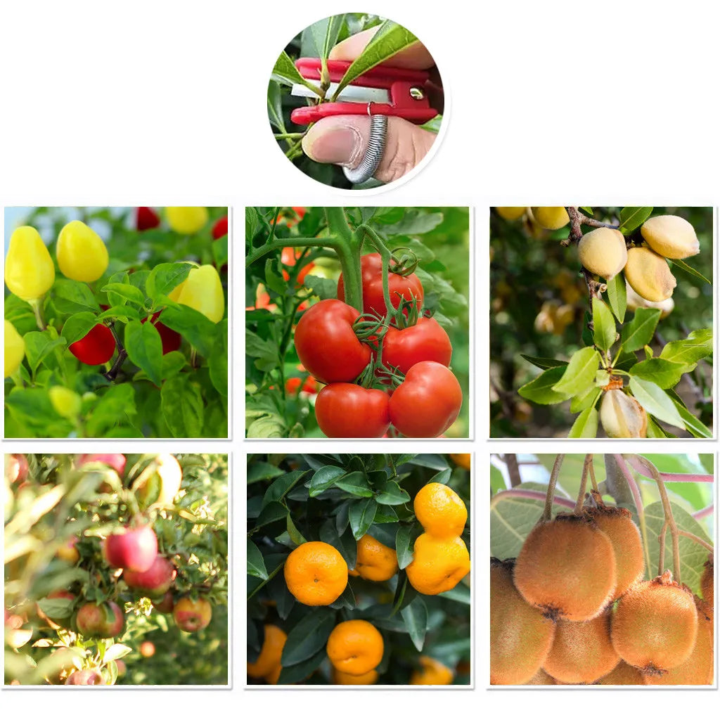 ThumbBlade™ – Sicheres Obstpflückwerkzeug