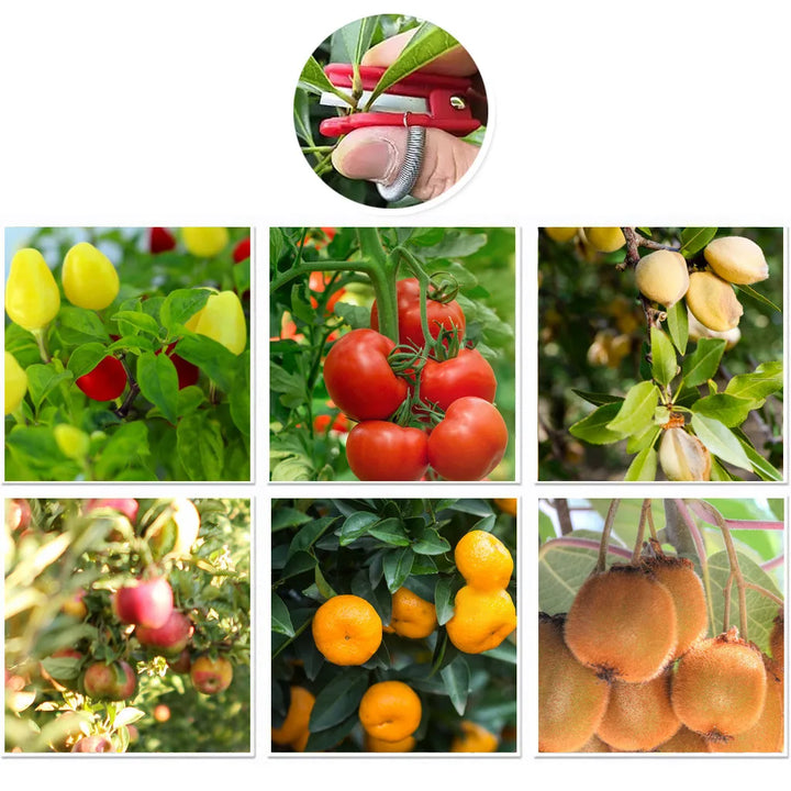 ThumbBlade™ – Sicheres Obstpflückwerkzeug