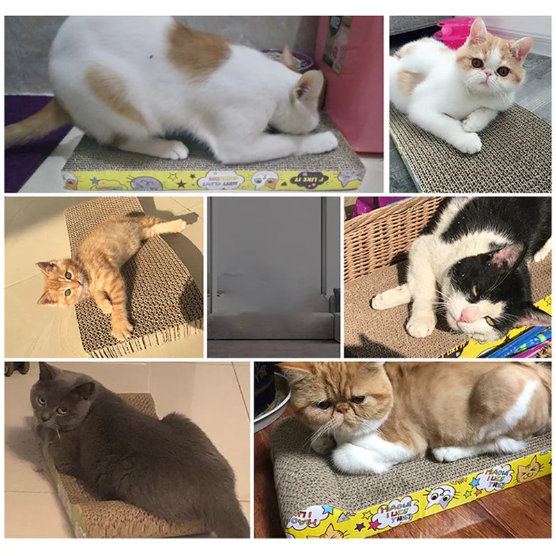 ClawGuard™ Katzenkratzbrett