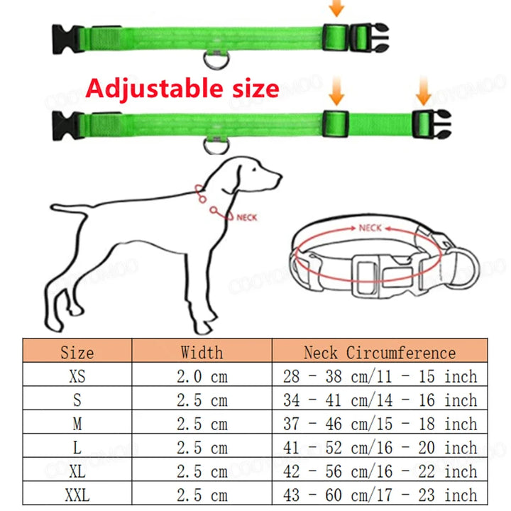PetShine™ USB-LED-Leuchthalsband