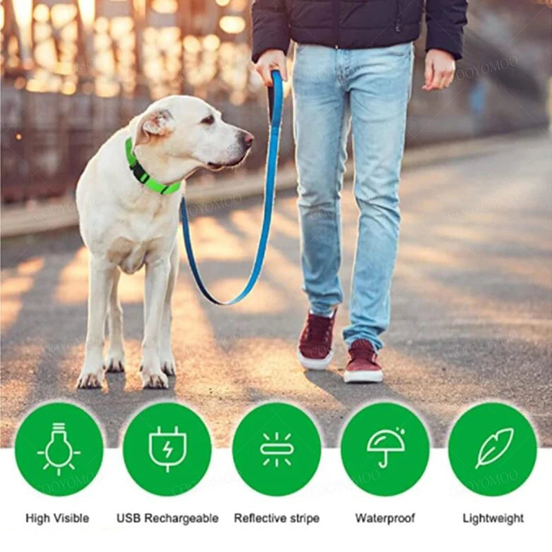 PetShine™ USB-LED-Leuchthalsband