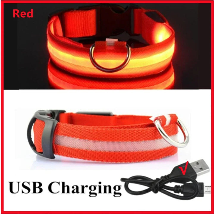 PetShine™ USB-LED-Leuchthalsband