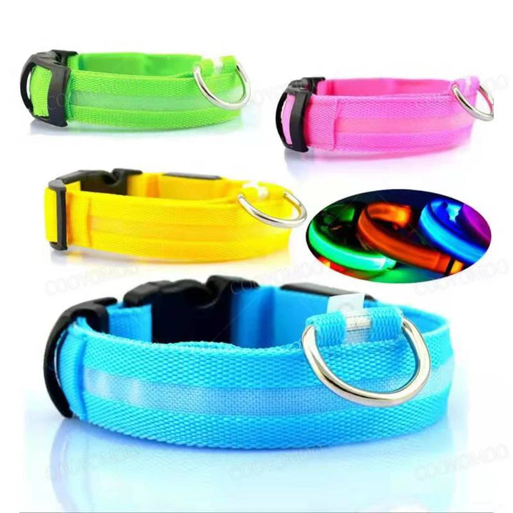 PetShine™ USB-LED-Leuchthalsband