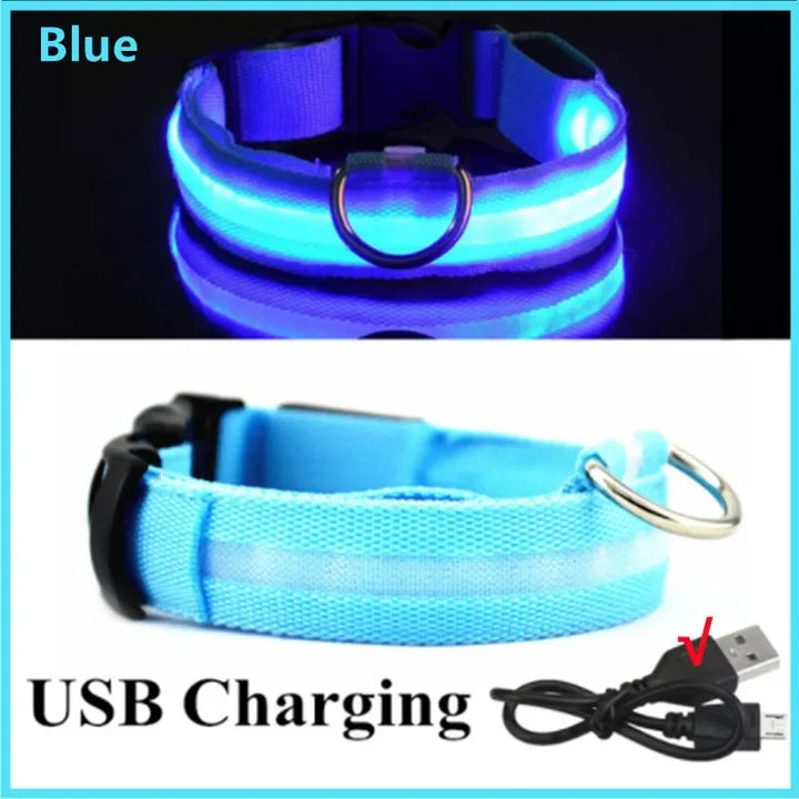 PetShine™ USB-LED-Leuchthalsband