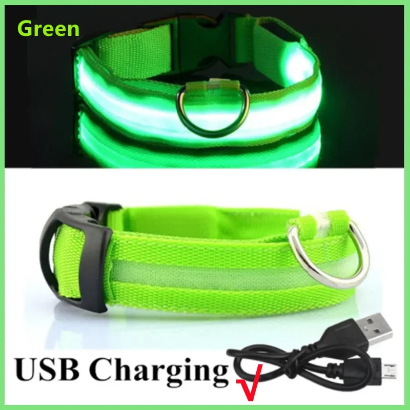 PetShine™ USB-LED-Leuchthalsband