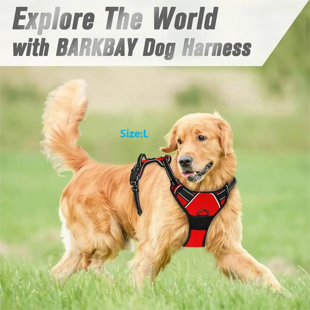 BarkBuddy™ Hunde-Ausrüstungsset