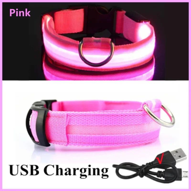 PetShine™ USB-LED-Leuchthalsband