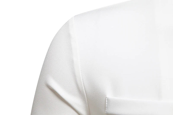 2025 Spring New Men Shirt Chinese Style Clothing Slim Fit Long Sleeves Shirt Camisa Social Office Wear Mandarin Collar Shirt
