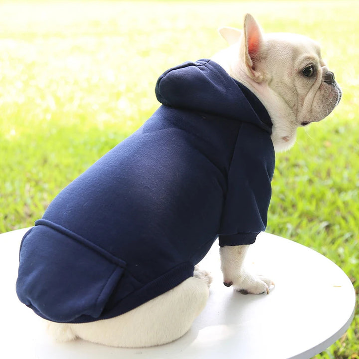WarmPaws™ Autumn Dog Hoodie