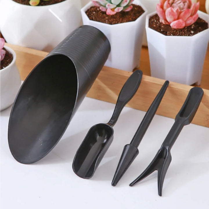 GreenThumb™ Sukkulenten- und Bonsai-Pflanzset