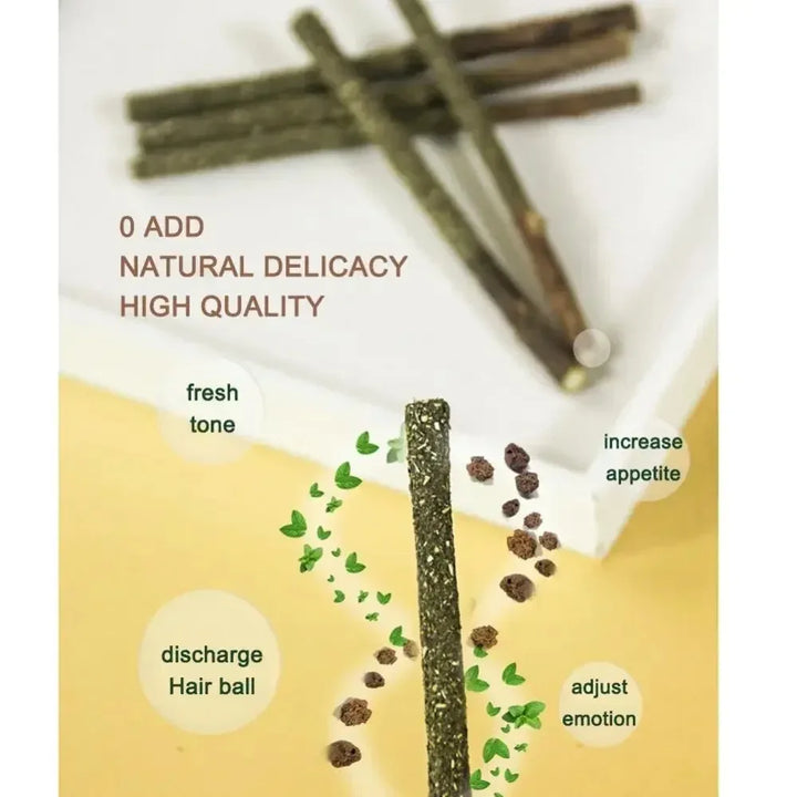 PawJoy™ Silvervine Katzenstäbchen – Zahnreinigung &amp; Spielspaß