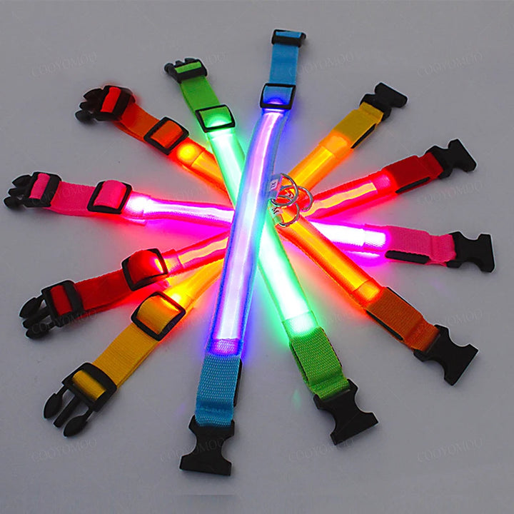 PetShine™ USB-LED-Leuchthalsband