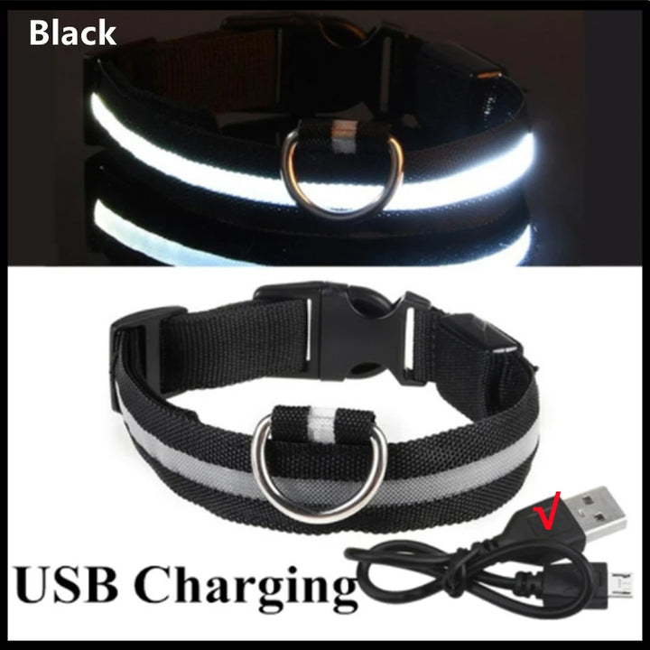 PetShine™ USB-LED-Leuchthalsband