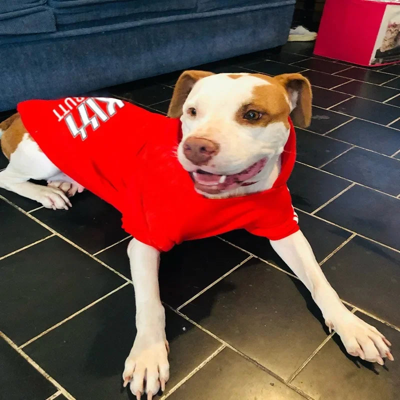 CozyPup™ Samt-Hundekleidung