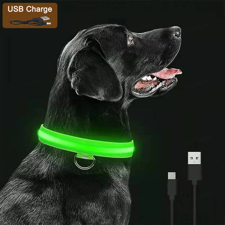 PetShine™ USB-LED-Leuchthalsband