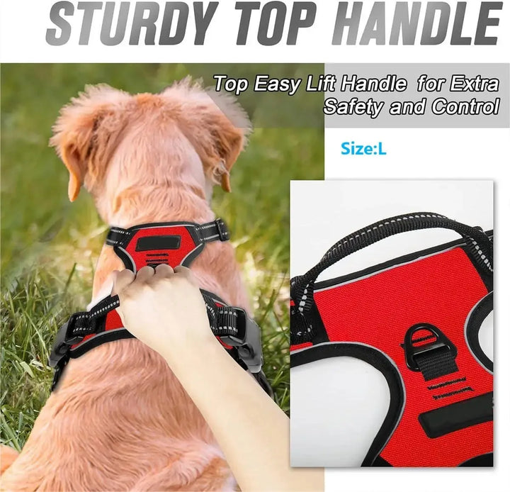 BarkBuddy™ Hunde-Ausrüstungsset