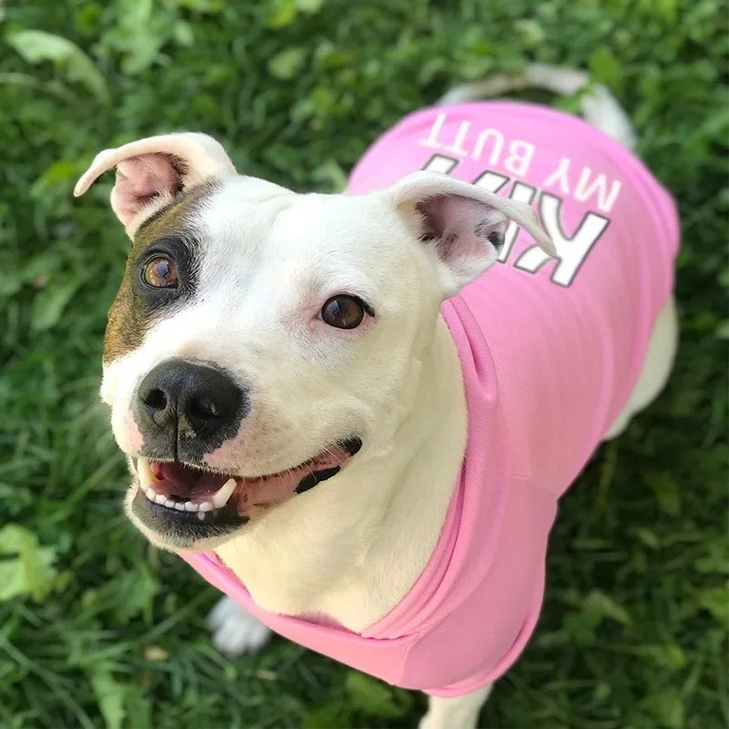 CozyPup™ Samt-Hundekleidung